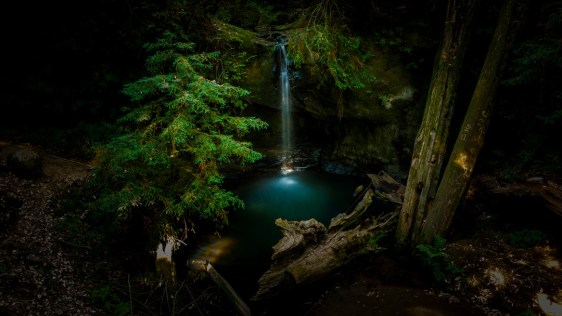waterfalls-in-the-woods